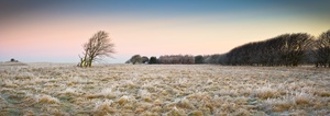 Frosted Landscape