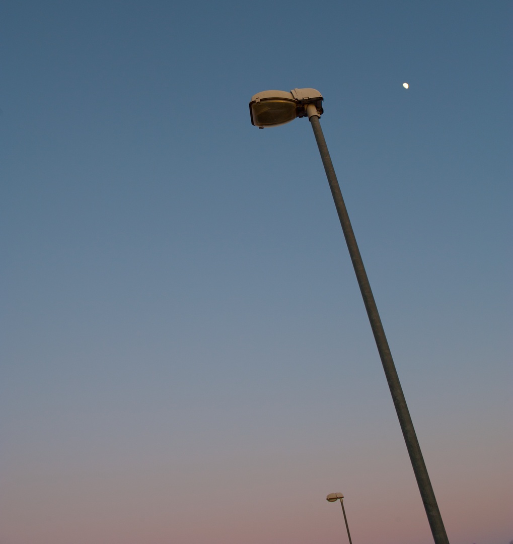 Light Poles and Moon